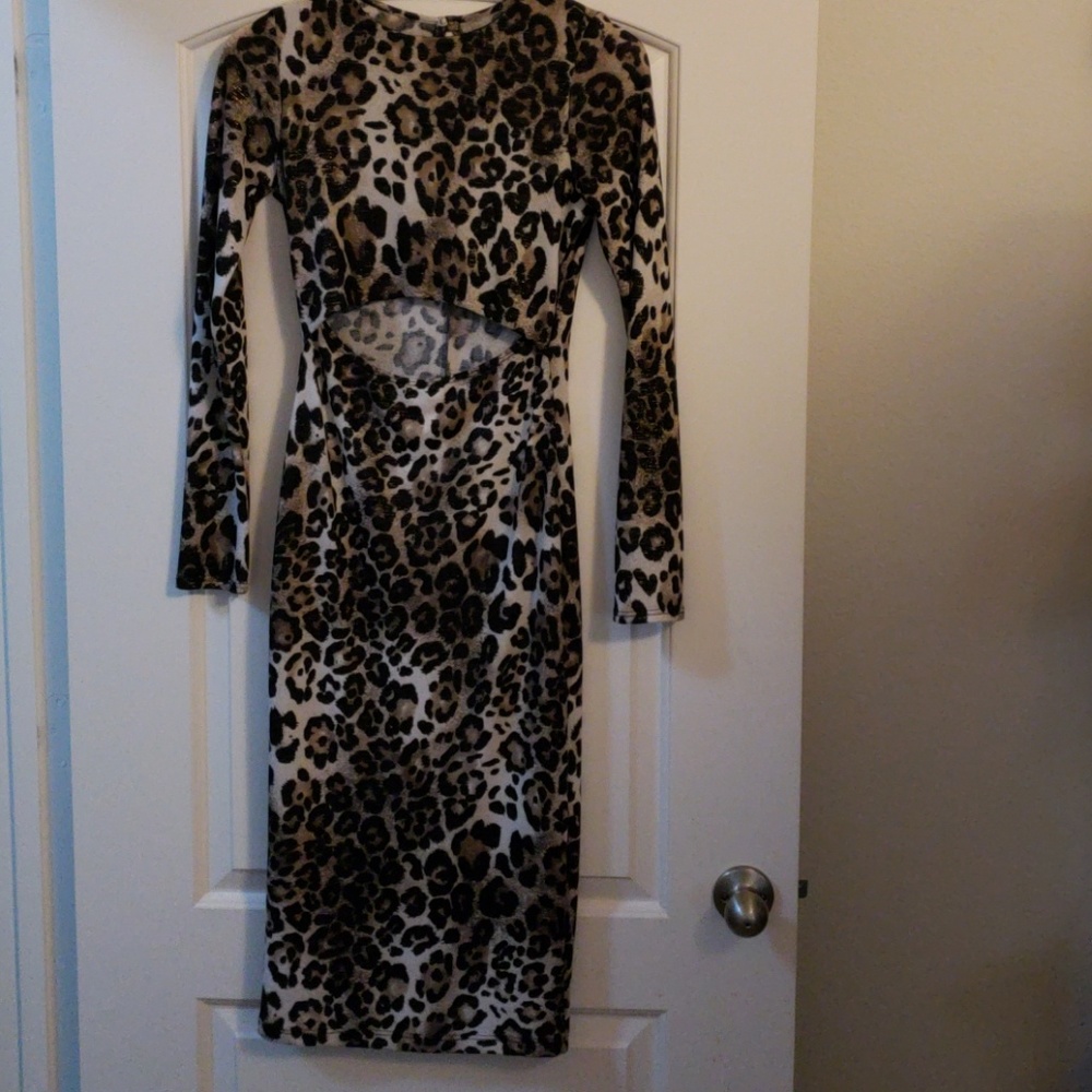 Animal Print Dress